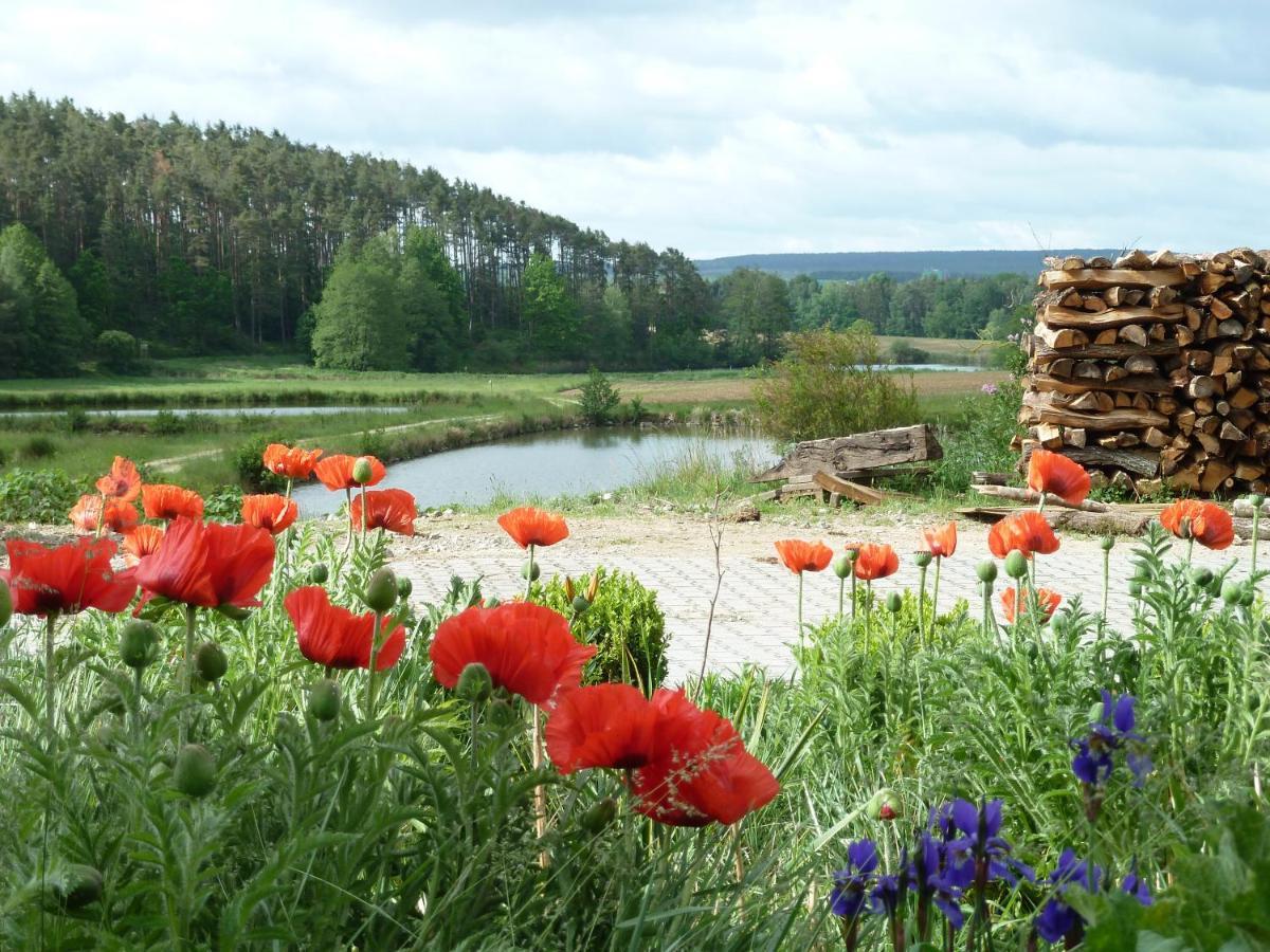 Ferienwohnungen Am Buechlhof Im Oberpfaelzer Seenland Neunburg vorm Wald Esterno foto