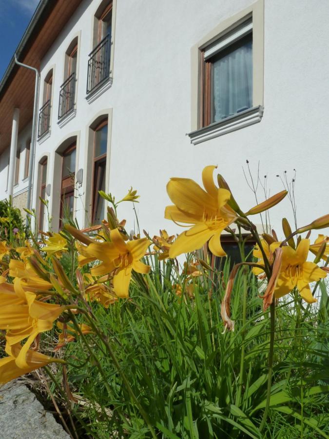 Ferienwohnungen Am Buechlhof Im Oberpfaelzer Seenland Neunburg vorm Wald Esterno foto