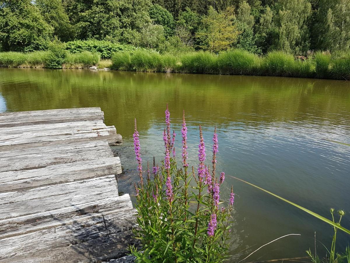 Ferienwohnungen Am Buechlhof Im Oberpfaelzer Seenland Neunburg vorm Wald Esterno foto